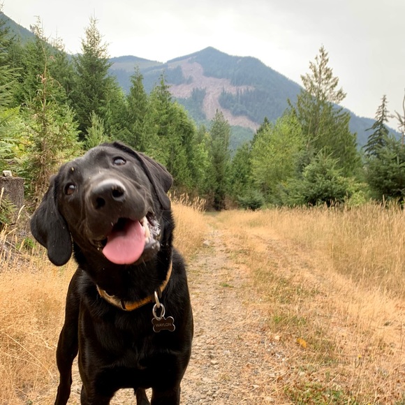 Meet the Posher! - Picture 11 of 11